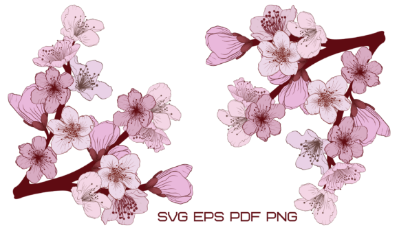 Unlocking Creativity with the Apricot Branch SVG: A Guide to Digital Art for Modern Crafting